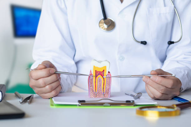 Best Emergency Tooth Extraction in Murraysville, NC
